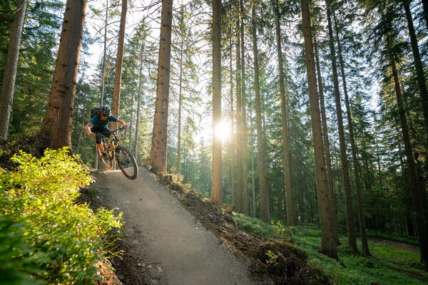 Bike trail for adults