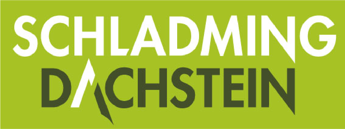 Logo 1